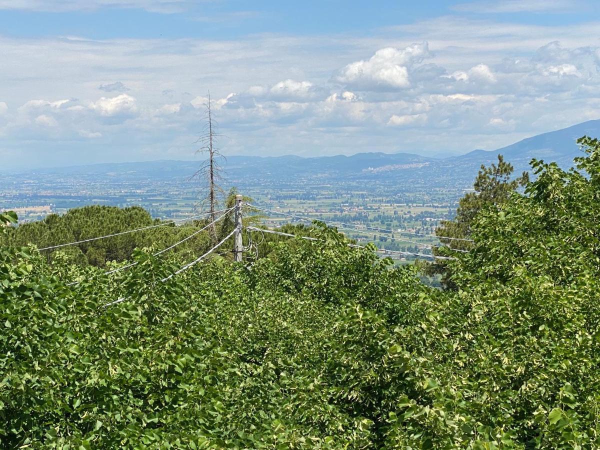 App. Con Terrazza Panoramica In Centro-Montefalco Buitenkant foto